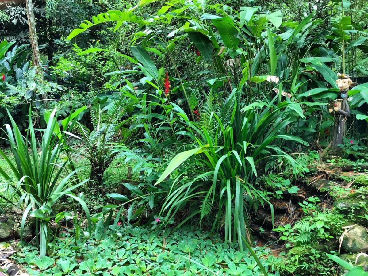 Chalé Privativo à beira do rio Jaguareguava na Mata Atlântica em Bertioga SP Exterior foto
