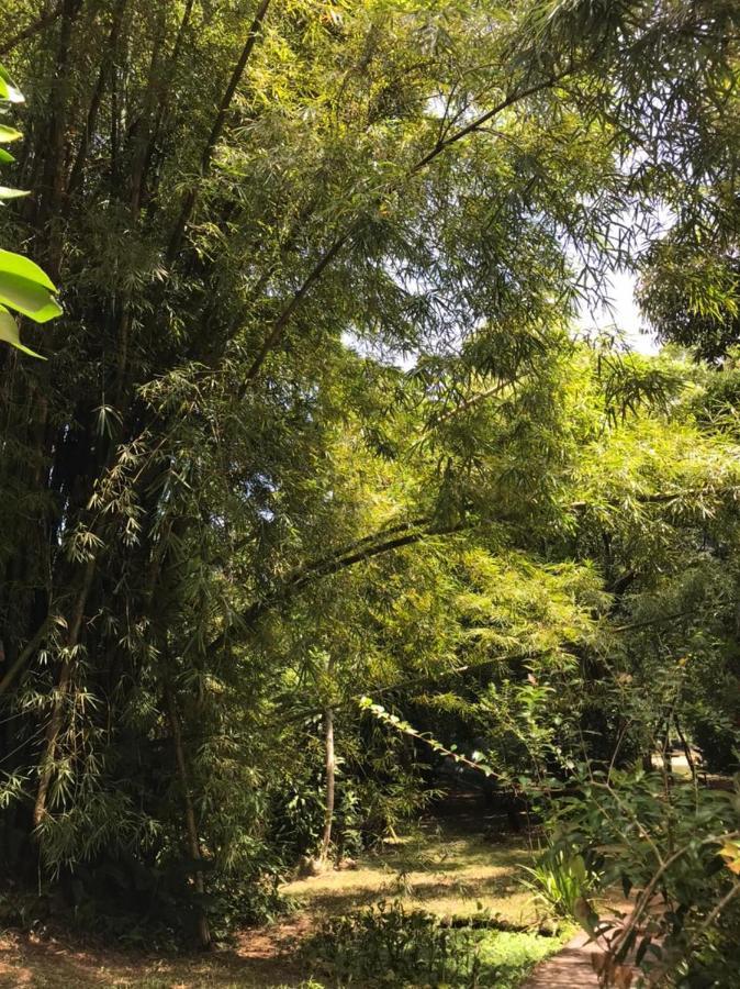 Chalé Privativo à beira do rio Jaguareguava na Mata Atlântica em Bertioga SP Exterior foto