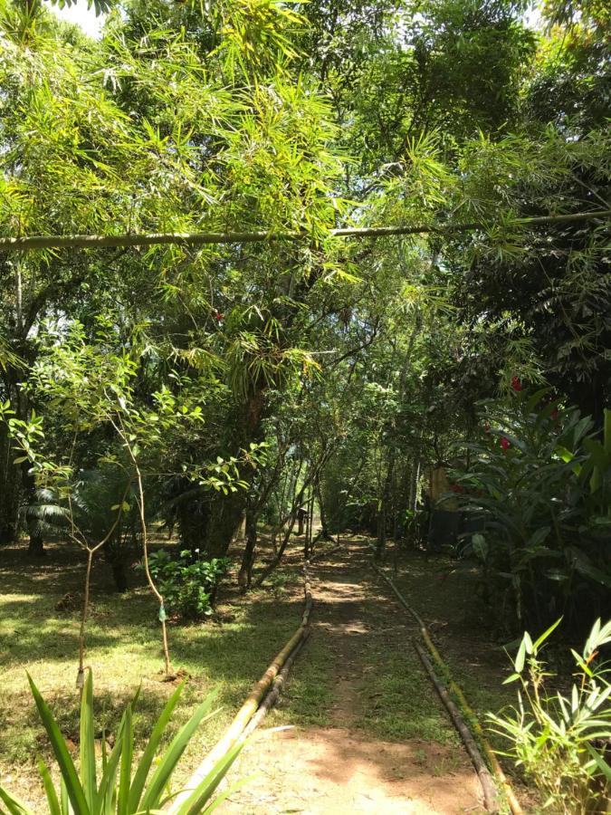Chalé Privativo à beira do rio Jaguareguava na Mata Atlântica em Bertioga SP Exterior foto