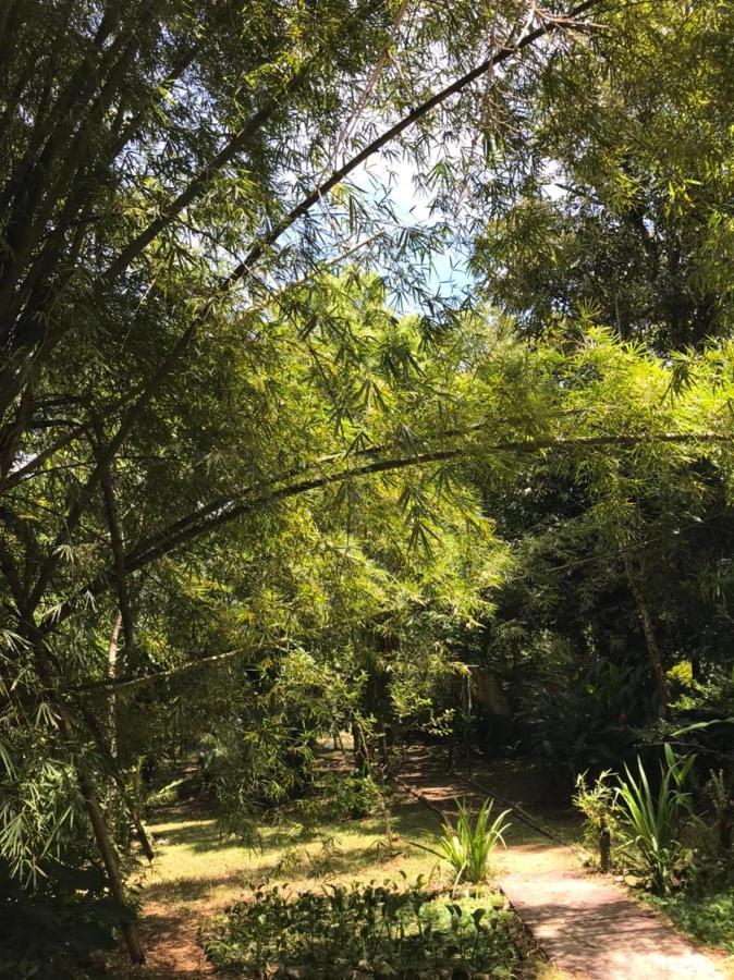 Chalé Privativo à beira do rio Jaguareguava na Mata Atlântica em Bertioga SP Exterior foto